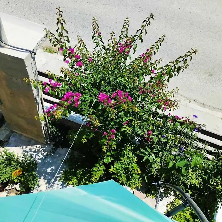 ι μυκονιάτη Nea Kallikrateia