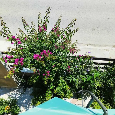 Daire ι μυκονιάτη Nea Kallikrateia